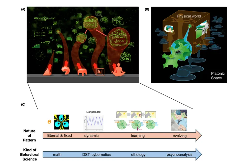Figure 10: Models of the Platonic space and embodied minds