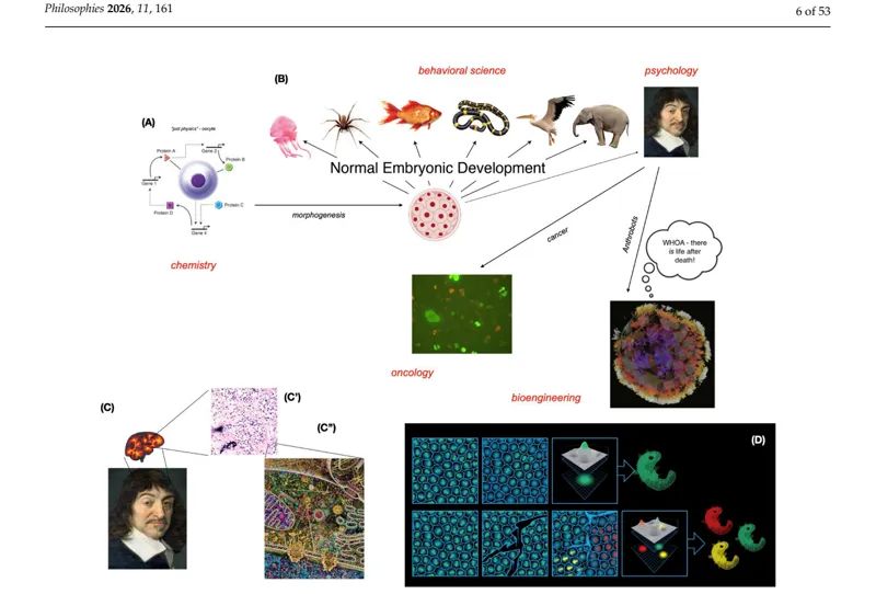 Figure 1: Bodies and minds self-assemble from single cells
